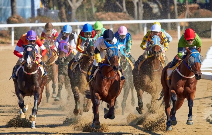 Horse Races In Australia